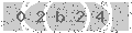 verify code