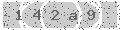 verify code