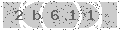 verify code