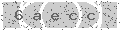 verify code